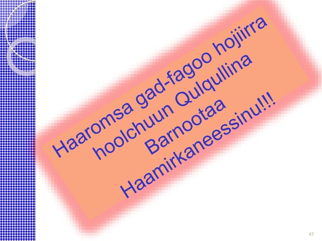 Qajeelfama gahee hojii suparvaayizaroota manneen barnootaa naann pptx qajeelfama-gahee-hojii-suparvaayizaroota-manneen-barnootaa-naann-pptx