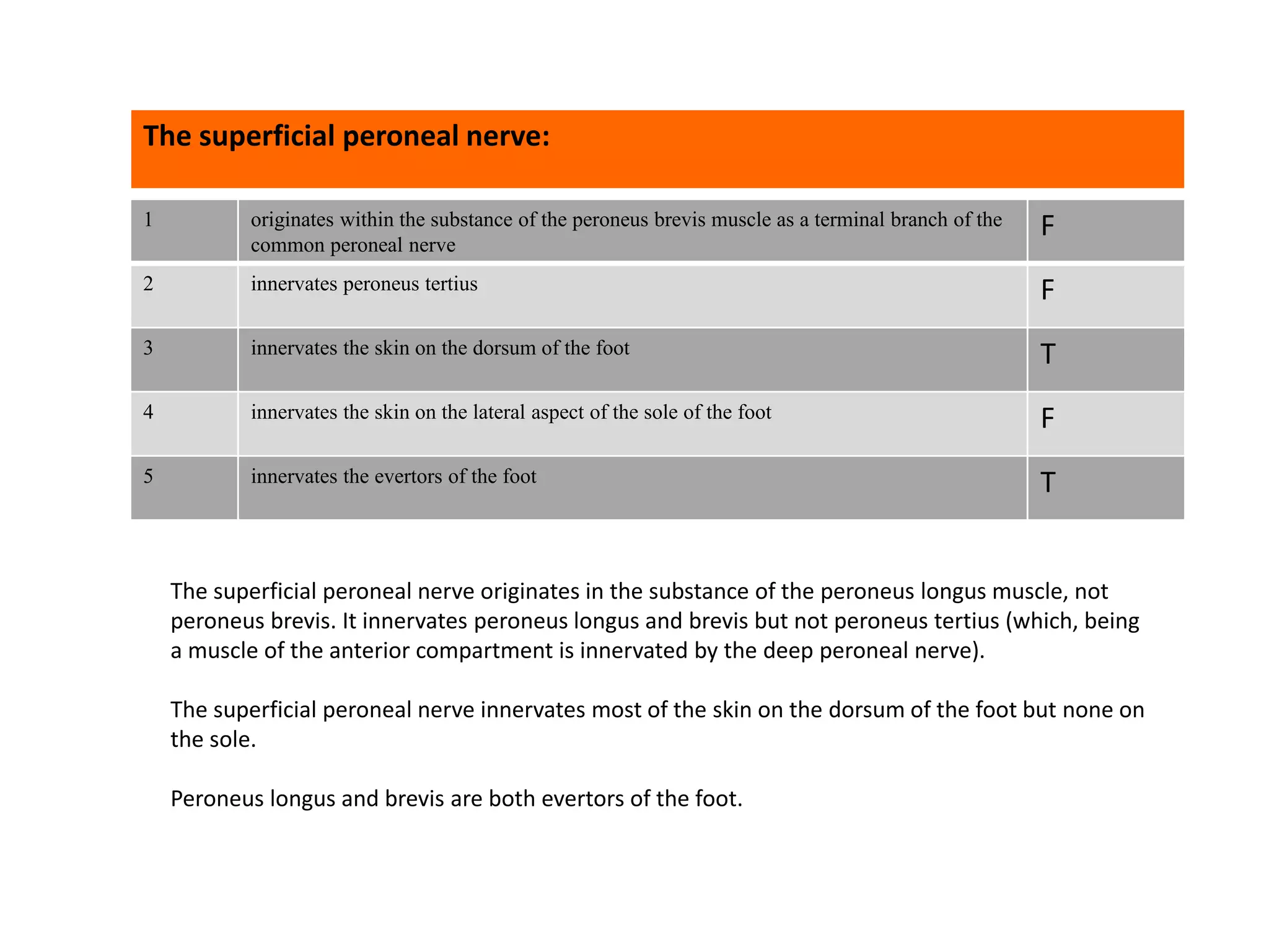 1 originates within the substance of the peroneus brevis muscle as a terminal branch of the
common peroneal nerve
F
2 innervates peroneus tertius F
3 innervates the skin on the dorsum of the foot T
4 innervates the skin on the lateral aspect of the sole of the foot F
5 innervates the evertors of the foot T
The superficial peroneal nerve:
The superficial peroneal nerve originates in the substance of the peroneus longus muscle, not
peroneus brevis. It innervates peroneus longus and brevis but not peroneus tertius (which, being
a muscle of the anterior compartment is innervated by the deep peroneal nerve).
The superficial peroneal nerve innervates most of the skin on the dorsum of the foot but none on
the sole.
Peroneus longus and brevis are both evertors of the foot.
 