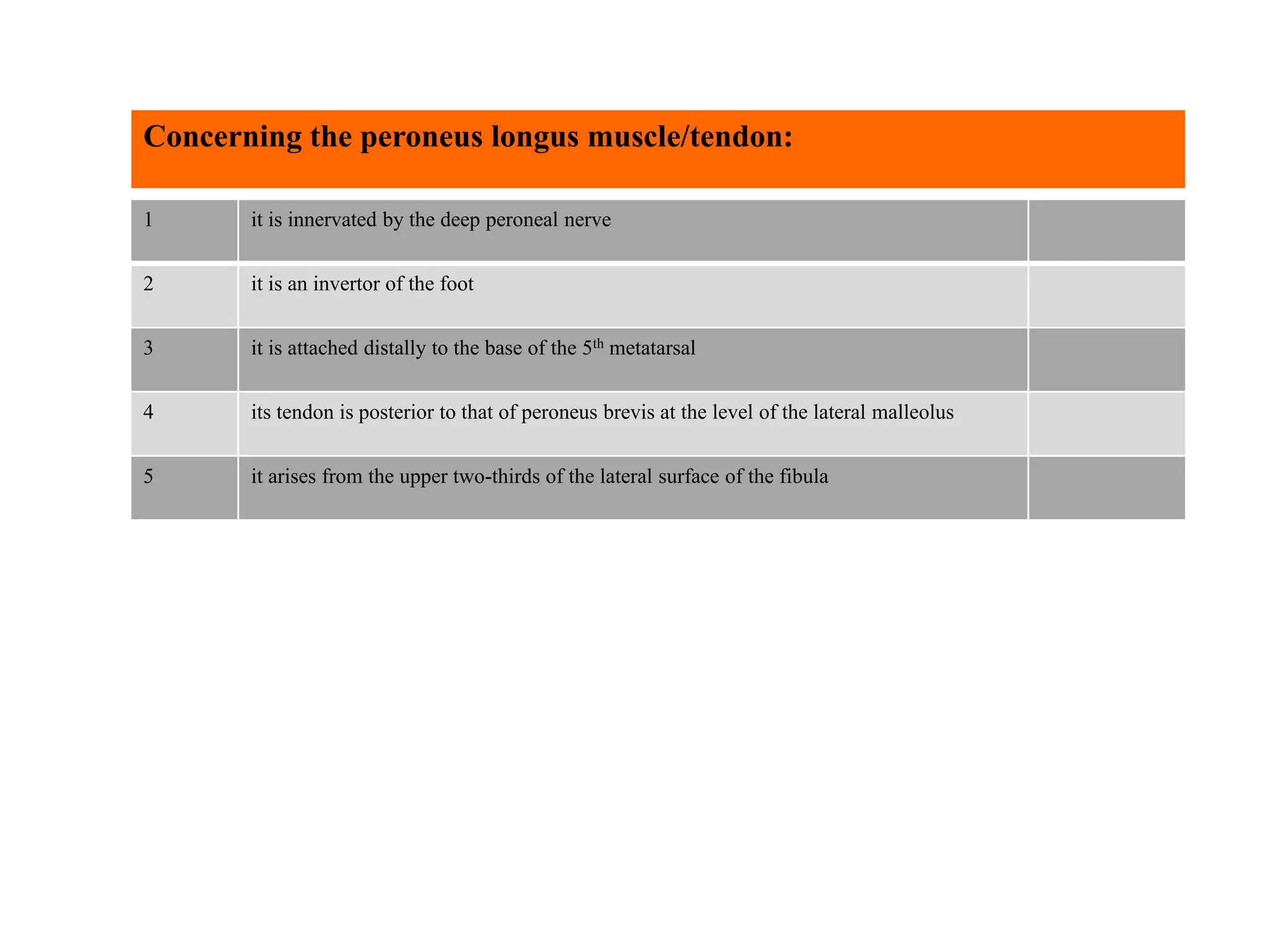 1 it is innervated by the deep peroneal nerve
2 it is an invertor of the foot
3 it is attached distally to the base of the 5th metatarsal
4 its tendon is posterior to that of peroneus brevis at the level of the lateral malleolus
5 it arises from the upper two-thirds of the lateral surface of the fibula
Concerning the peroneus longus muscle/tendon:
 