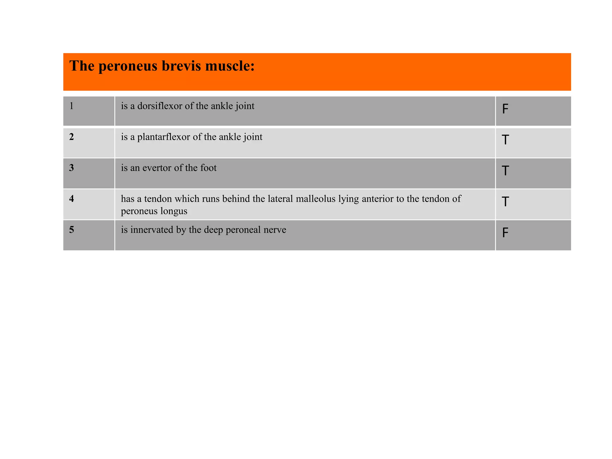 1 is a dorsiflexor of the ankle joint F
2 is a plantarflexor of the ankle joint T
3 is an evertor of the foot T
4 has a tendon which runs behind the lateral malleolus lying anterior to the tendon of
peroneus longus
T
5 is innervated by the deep peroneal nerve F
The peroneus brevis muscle:
 