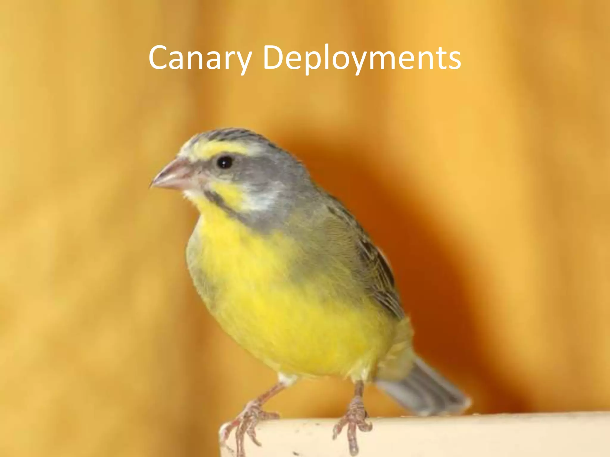 Canary Deployments
 