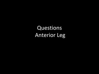 Questions
Anterior Leg
 
