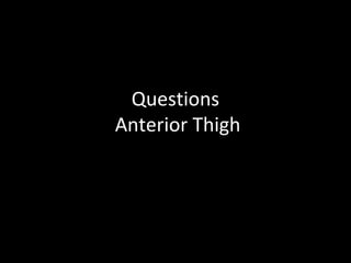 Questions
Anterior Thigh
 