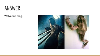 ANSWER
Wolverine Frog
 