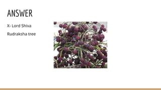 ANSWER
X- Lord Shiva
Rudraksha tree
 