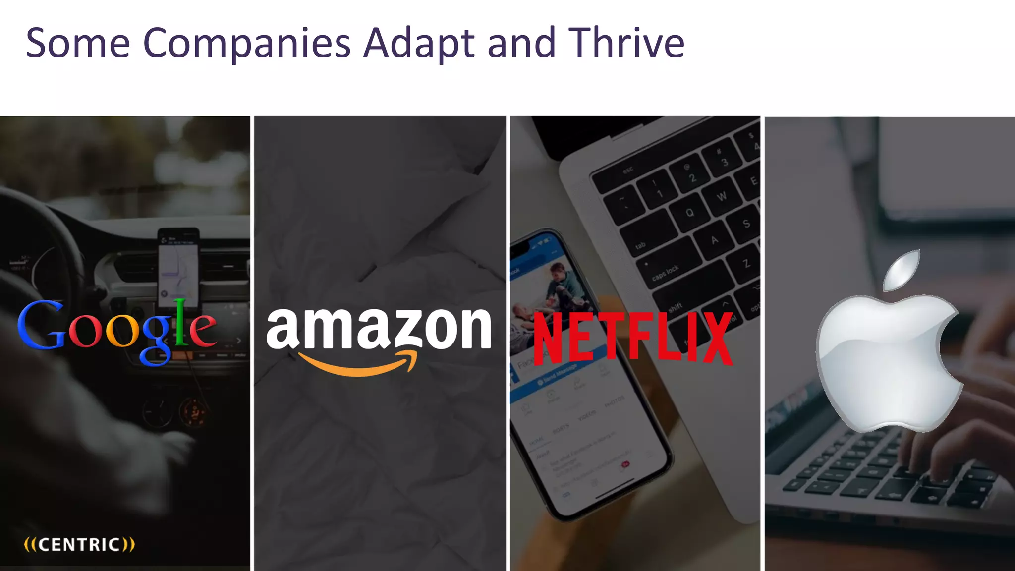 17
Some Companies Adapt and Thrive
 