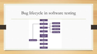 Bug lifecycle in software testing
 