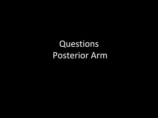 Questions
Posterior Arm
 