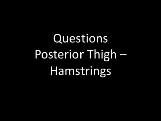 Questions
Posterior Thigh –
Hamstrings
 