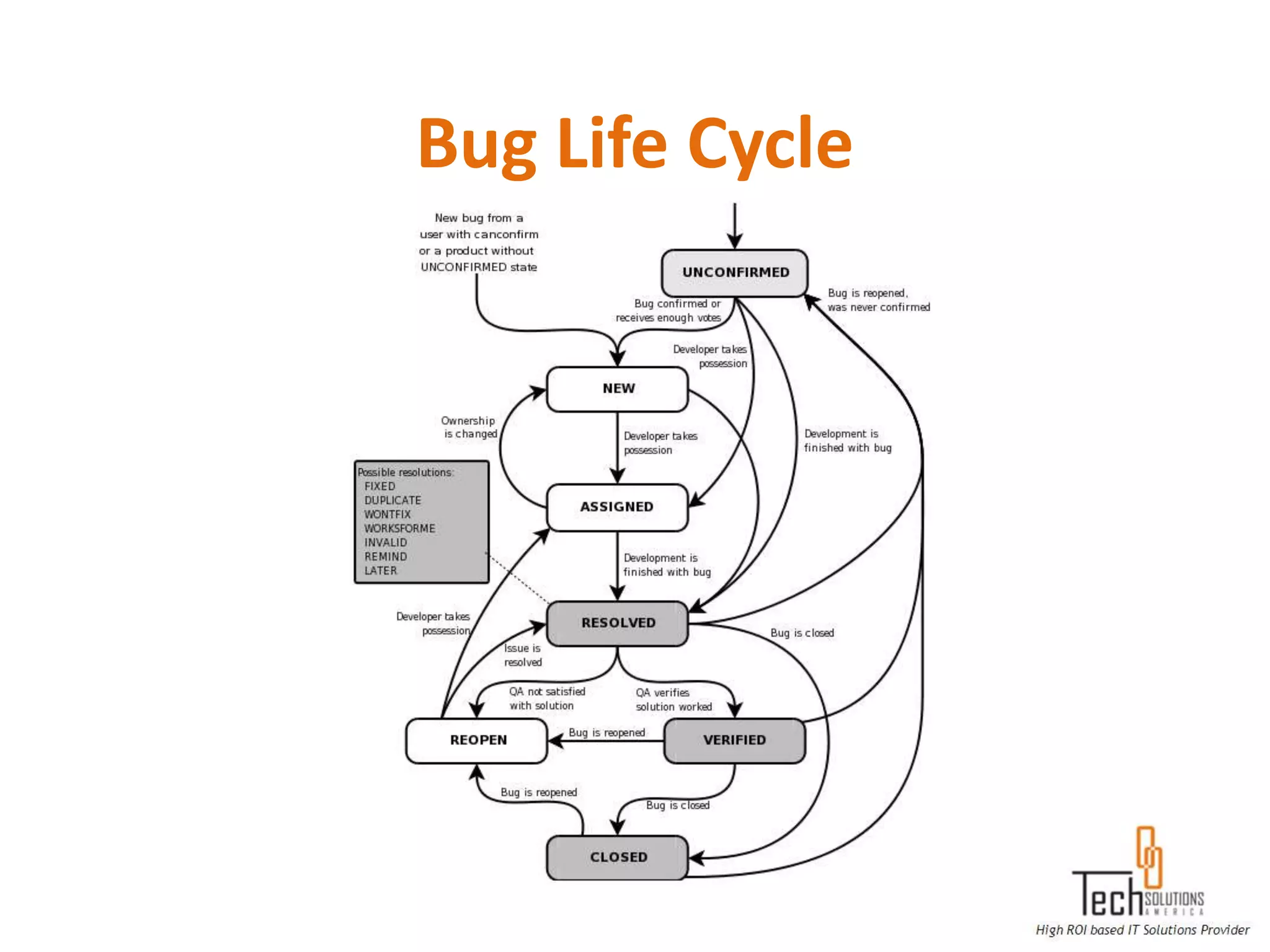Bug Life Cycle
 
