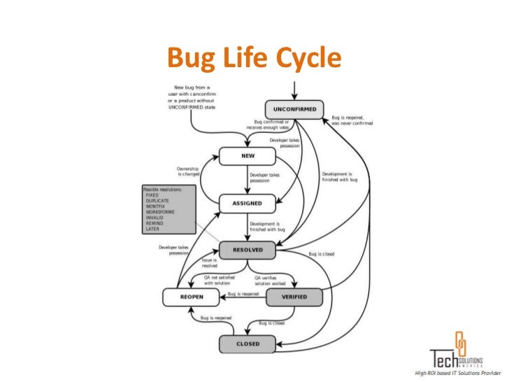 Bug Life Cycle Flow Chart