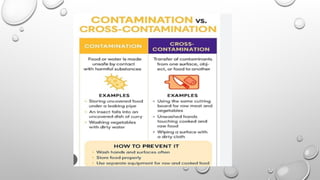 Comprehensive Guide to Sanitation and Contamination Prevention in ...