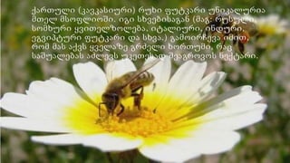 ქართული (კავკასიური) რუხი ფუტკარი უნიკალურია
მთელ მსოფლიოში. იგი სხვებისაგან (მაგ: რუსული,
სომხური ყვითელზოლება, იტალიური, ინდური,
ეგვიპტური ფუტკარი და სხვა.) გამოირჩევა იმით,
რომ მას აქვს ყველაზე გრძელი ხორთუმი, რაც
საშუალებას აძლევს უკეთესად შეაგროვოს ნექტარი.
 