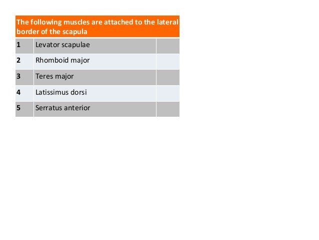 Latest scap_ha Study Plan