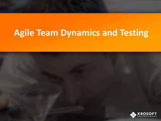 Agile Team Dynamics and Testing