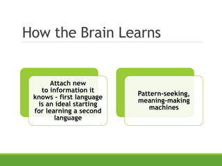 How the Brain Learns
Attach new
to information it
knows – first language
is an ideal starting
for learning a second
language
Pattern-seeking,
meaning-making
machines
 