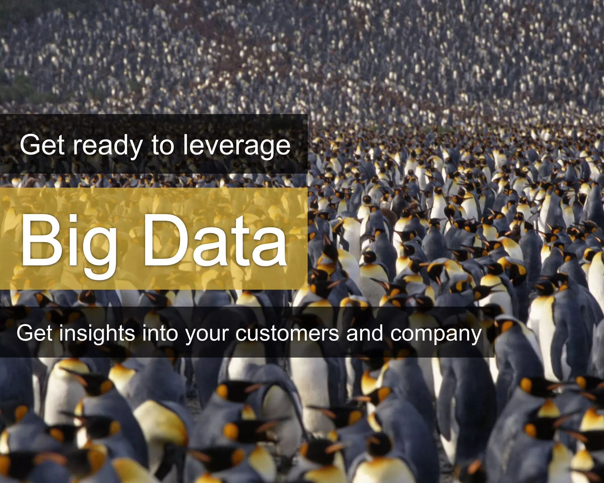 ©Copyright 2012 QA Technologies, Inc. All rights
Reserved. ©Copyright 2012 QA Technologies, Inc. All rights Reserved.
Get ready to leverage
Get insights into your customers and company
 