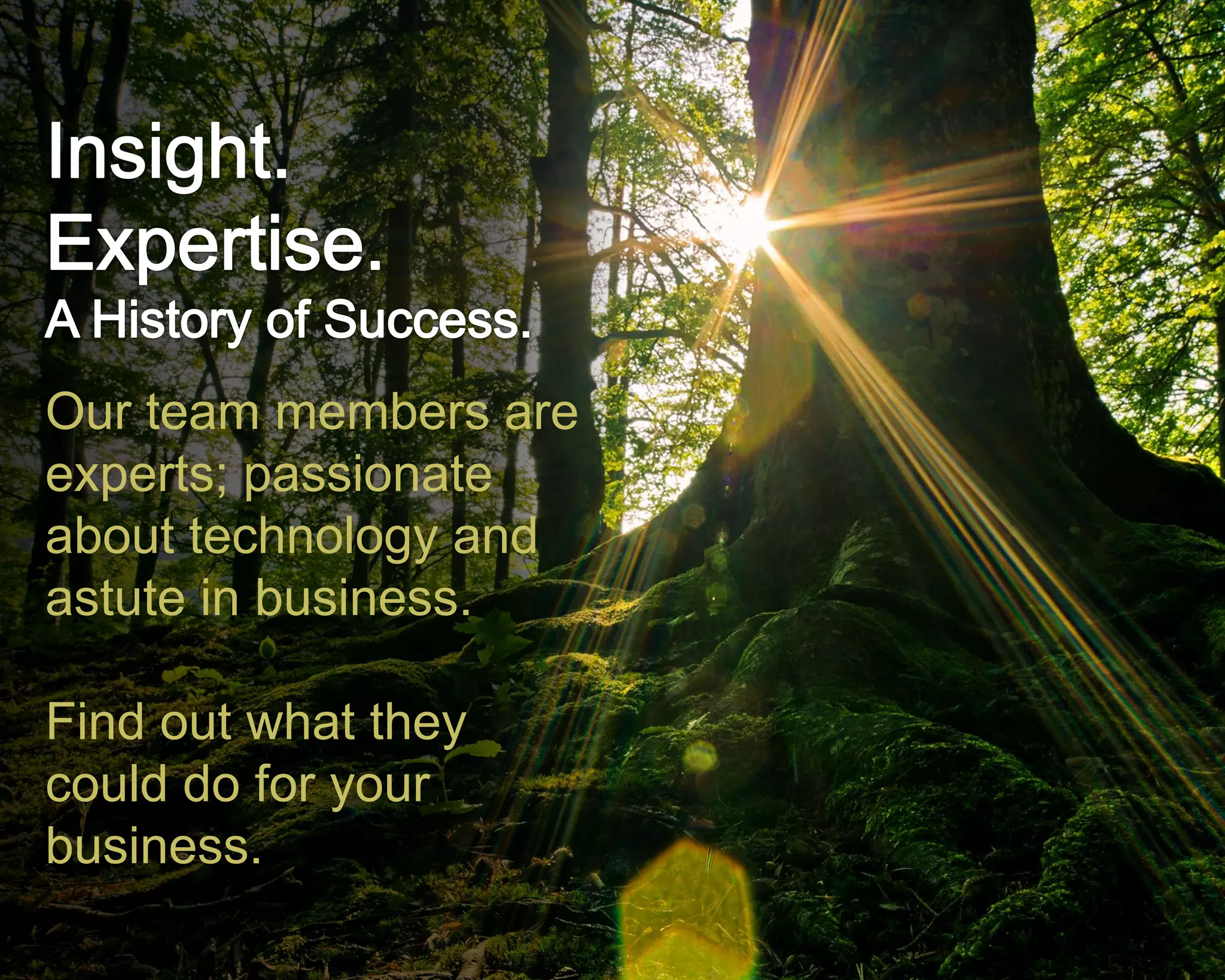 ©Copyright 2012 QA Technologies, Inc. All rights
Reserved. ©Copyright 2012 QA Technologies, Inc. All rights Reserved.
Our team members are
experts; passionate
about technology and
astute in business.
Find out what they
could do for your
business.
 