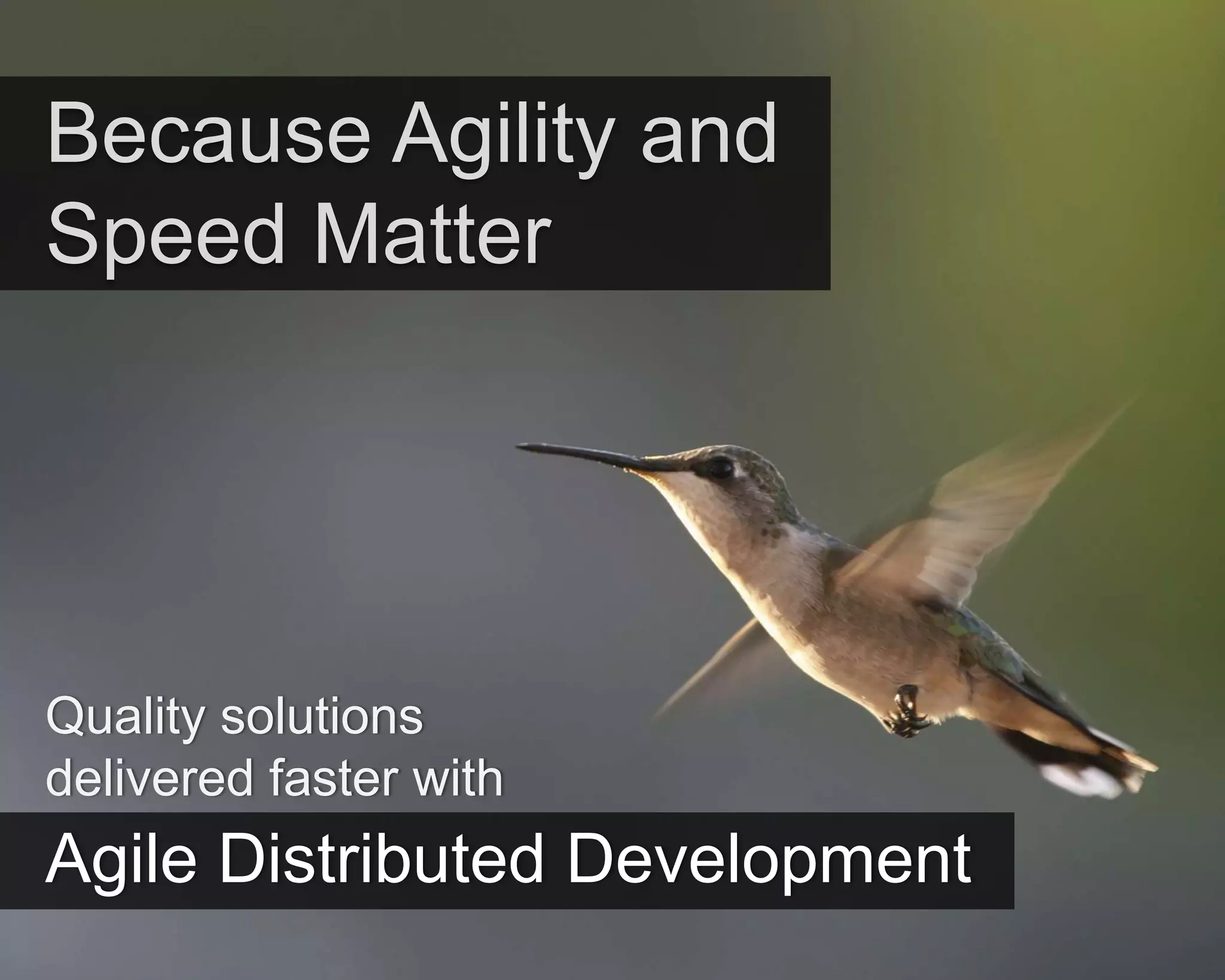 ©Copyright 2012 QA Technologies, Inc. All rights
Reserved. ©Copyright 2012 QA Technologies, Inc. All rights Reserved.
Because Agility and
Speed Matter
Quality solutions
delivered faster with
Agile Distributed Development
 