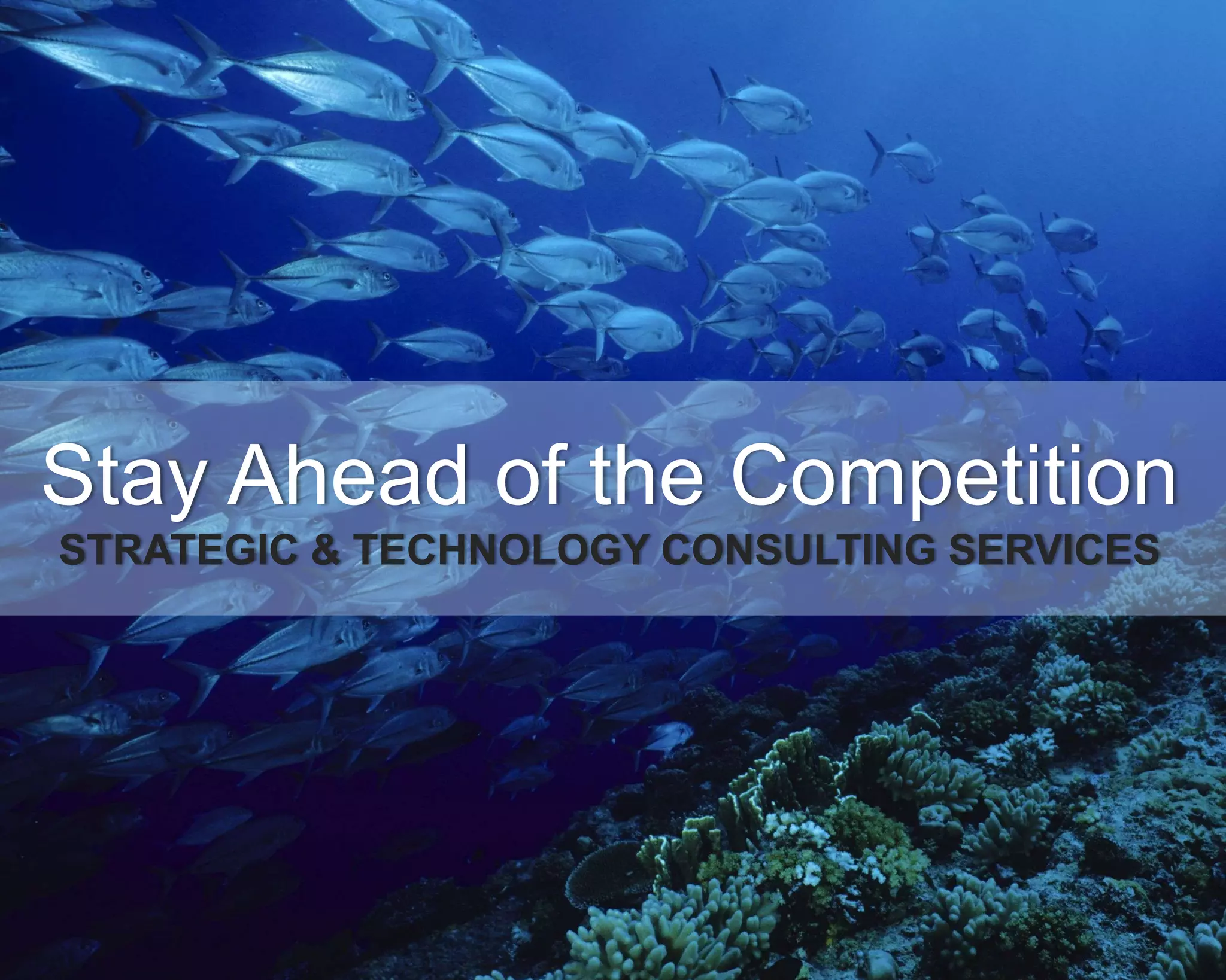 ©Copyright 2012 QA Technologies, Inc. All rights
Reserved. ©Copyright 2012 QA Technologies, Inc. All rights Reserved.
Stay Ahead of the Competition
STRATEGIC & TECHNOLOGY CONSULTING SERVICES
 