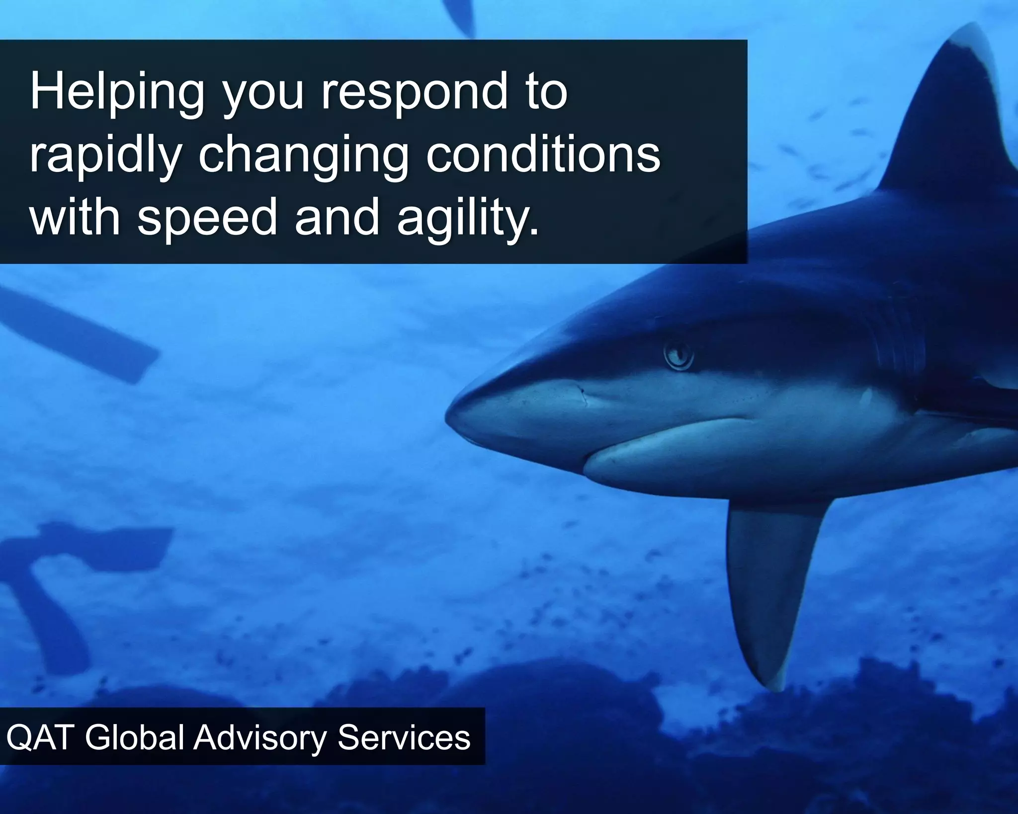 ©Copyright 2012 QA Technologies, Inc. All rights
Reserved. ©Copyright 2012 QA Technologies, Inc. All rights Reserved.
Helping you respond to
rapidly changing conditions
with speed and agility.
QAT Global Advisory Services
 