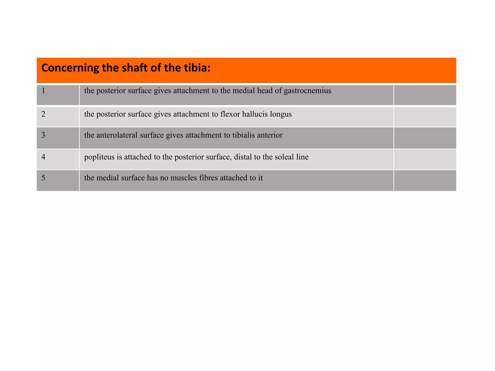 1 the posterior surface gives attachment to the medial head of gastrocnemius
2 the posterior surface gives attachment to flexor hallucis longus
3 the anterolateral surface gives attachment to tibialis anterior
4 popliteus is attached to the posterior surface, distal to the soleal line
5 the medial surface has no muscles fibres attached to it
Concerning the shaft of the tibia:
 