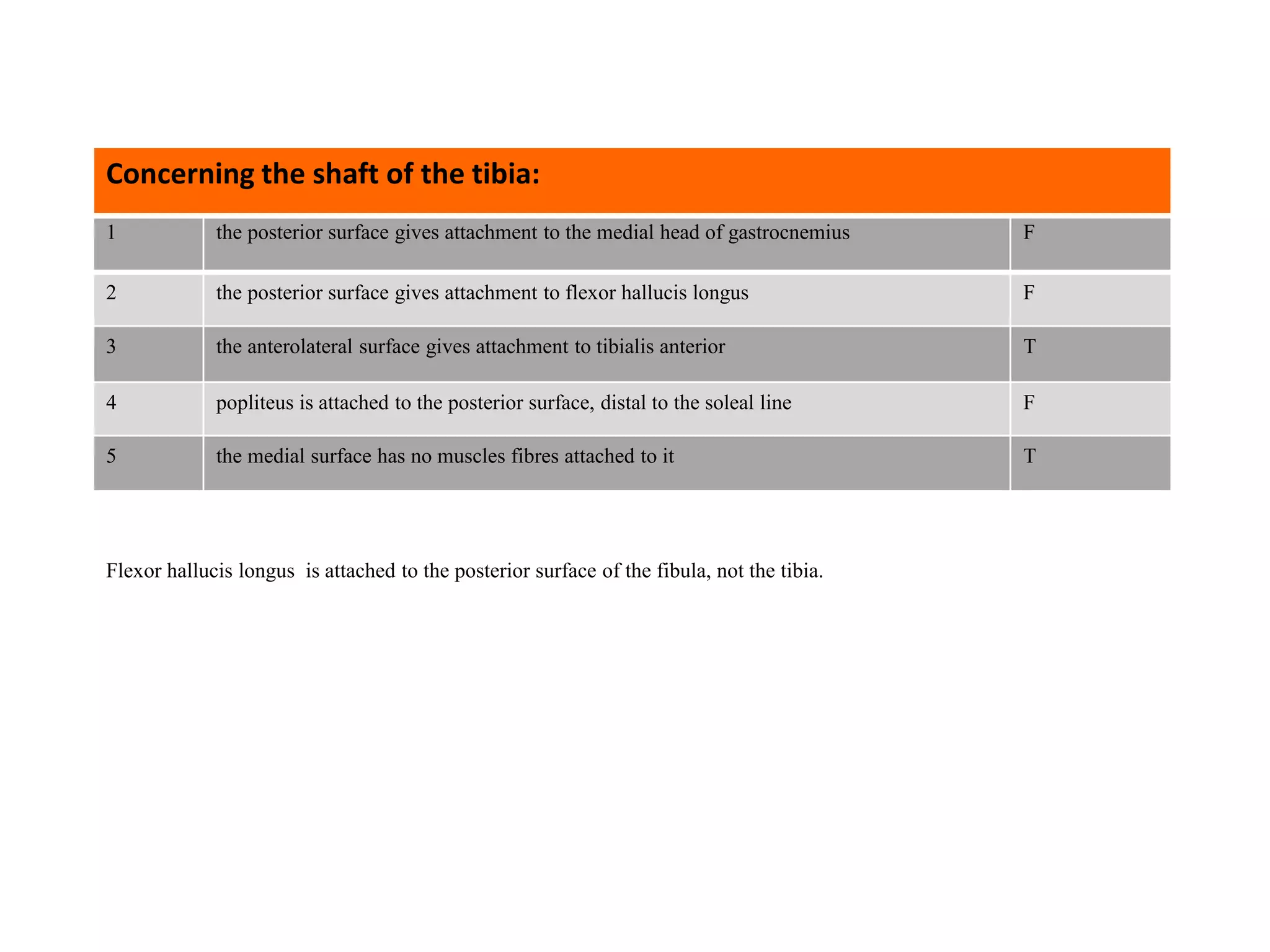 1 the posterior surface gives attachment to the medial head of gastrocnemius F
2 the posterior surface gives attachment to flexor hallucis longus F
3 the anterolateral surface gives attachment to tibialis anterior T
4 popliteus is attached to the posterior surface, distal to the soleal line F
5 the medial surface has no muscles fibres attached to it T
Concerning the shaft of the tibia:
Flexor hallucis longus is attached to the posterior surface of the fibula, not the tibia.
 