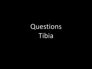 Questions
Tibia
 