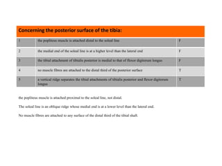 1 the popliteus muscle is attached distal to the soleal line F
2 the medial end of the soleal line is at a higher level than the lateral end F
3 the tibial attachment of tibialis posterior is medial to that of flexor digitorum longus F
4 no muscle fibres are attached to the distal third of the posterior surface T
5 a vertical ridge separates the tibial attachments of tibialis posterior and flexor digitorum
longus
T
Concerning the posterior surface of the tibia:
the popliteus muscle is attached proximal to the soleal line, not distal.
The soleal line is an oblique ridge whose medial end is at a lower level than the lateral end.
No muscle fibres are attached to any surface of the distal third of the tibial shaft.
 