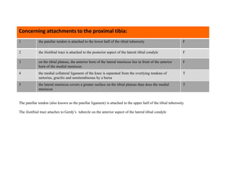 1 the patellar tendon is attached to the lower half of the tibial tuberosity F
2 the iliotibial tract is attached to the posterior aspect of the lateral tibial condyle F
3 on the tibial plateau, the anterior horn of the lateral meniscus lies in front of the anterior
horn of the medial meniscus
F
4 the medial collateral ligament of the knee is separated from the overlying tendons of
sartorius, gracilis and semitendinosus by a bursa
T
5 the lateral meniscus covers a greater surface on the tibial plateau than does the medial
meniscus
T
Concerning attachments to the proximal tibia:
The patellar tendon (also known as the patellar ligament) is attached to the upper half of the tibial tuberosity.
The iliotibial tract attaches to Gerdy’s tubercle on the anterior aspect of the lateral tibial condyle
 