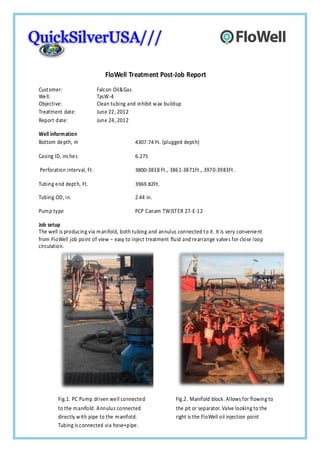 FloWell Treatment Post-Job Report
Cust omer:                   Falcon Oil&Gas
Well:                        TasW-4
Objective:                   Clean tubing and inhibit w ax buildup
Treatment date:              June 22, 2012
Report date:                 June 24, 2012

Well information
Bottom depth, m                              4307.74 Ft. (plugged dept h)

Casing ID, inches                            6.275

Perforation interval, Ft .                   3800-3838 Ft ., 3861-3871Ft ., 3970-3983Ft .

Tubing end dept h, Ft.                       3969.82Ft.

Tubing OD, in.                               2.44 in.

Pump type                                    PCP Canam TWIST ER 27-E-12

Job setup
The well is producing via manifold, both tubing and annulus connected t o it. It is very convenient
from FloWell job point of view – easy to inject treatment fluid and rearrange valves for close loop
circulation.




        Fig.1. PC Pump driven well connected                   Fig.2. Manifold block. Allows for flowing to
        to the manifold. Annulus connected                     the pit or separator. Valve looking to the
        directly w ith pipe to the manifold.                   right is the FloWell oil injection point
        Tubing is connected via hose+pipe.
 