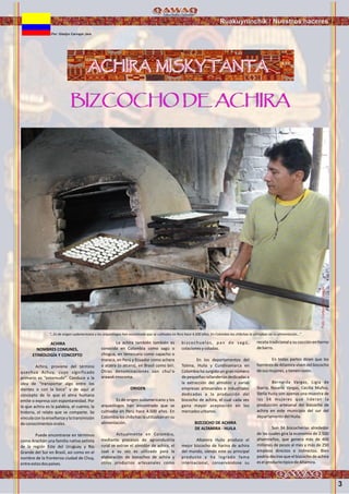 3
Ruakuyninchik / Nuestros haceres
Por: Gladys Carvajal Jara
BIZCOCHO DE ACHIRABIZCOCHO DE ACHIRA
ACHIRA MISKY TANTA
ACHIRA
NOMBRES COMUNES,
ETIMOLOGÍA Y CONCEPTO
Achira, proviene del término
quechua Achuy, cuyo significado
primario es “estornudo”. Conduce a la
idea de “transportar algo entre los
dientes o con la boca” y de aquí al
concepto de lo que el alma humana
emite o expresa con espontaneidad. Por
lo que achira es la palabra, el cuento, la
historia, el relato que se comparte. Se
vincula con la enseñanza y la transmisión
deconocimientosorales.
Puede encontrarse en términos
como Arachán una familia nativa extinta
de la región Este del Uruguay y Río
Grande del Sur en Brasil, así como en el
nombre de la fronteriza ciudad de Chuy,
entreestosdospaíses.
La achira también también es
conocida en Colombia como sagú o
chisgua, en Venezuela como capacho o
maraca, en Perú y Ecuador como achera
o atzera (o atcera), en Brasil como biri.
Otras denominaciones son chui'o
arawakimocoma.
ORIGEN
Es de origen sudamericano y los
arqueólogos han encontrado que se
cultivaba en Perú hace 4.500 años. En
Colombia los chibchas la utilizaban en su
alimentación.
Actualmente en Colombia,
mediante procesos de agroindustria
rural se extrae el almidón de achira, el
cual a su vez es utilizado para la
elaboración de bizcochos de achira y
otros productos artesanales como
bizcochuelos, pan de sagú,
colacionesycoladas.
En los departamentos del
Tolima, Huila y Cundinamarca en
Colombia ha surgido un gran número
depequeñasrallanderíasdedicadasa
la extracción del almidón y varias
empresas artesanales e industriales
dedicadas a la producción del
bizcocho de achira, el cual cada vez
gana mayor aceptación en los
mercadosurbanos.
BIZCOCHO DE ACHIRA
DE ALTAMIRA - HUILA
Altamira Huila produce el
mejor bizcocho de harina de achira
del mundo, siendo este su principal
producto y ha logrado fama
internacional, conservándose su
receta tradicional y su cocción en horno
debarro.
En todas partes dicen que los
hombres de Altamira viven del bizcocho
desusmujeres,ytienenrazón.
Bernarda Vargas, Ligia de
Ibarra, Rosario Vargas, Cecilia Muñoz,
Stella Yusty son apenas una muestra de
las 34 mujeres que lideran la
producción artesanal del bizcocho de
achira en este municipio del sur del
departamentodelHuila.
Son 34 bizcocherías alrededor
de las cuales gira la economía de 2.500
altamireños, que genera más de 400
millones de pesos al mes y más de 250
empleos directos e indirectos. Bien
podría decirse que el bizcocho de achira
eselproductotípicodeAltamira.
ACHIRA MISKY TANTA
“...Es de origen sudamericano y los arqueólogos han encontrado que se cultivaba en Perú hace 4.500 años. En Colombia los chibchas la utilizaban en su alimentación...”
Foto:CortesíadeGoogle
 