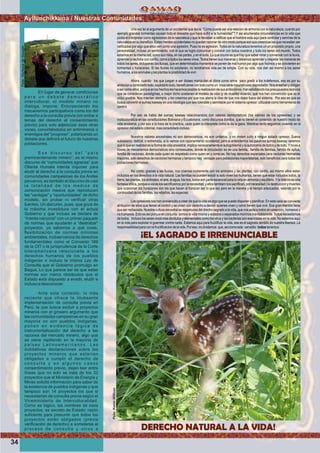 Ayllunchikkuna / Nuestras Comunidades
En lugar de generar condiciones
p a r a u n d e b a t e d e m o c r á t i c o
intercultural, el modelo minero no
dialoga, impone. Entorpeciendo los
mecanismos participativos como los del
derecho a la consulta previa (sin entrar a
temas del derecho al consentimiento
previo) para solo adjetivizar esas otras
voces, convirtiéndolos en antimineros o
enemigos del “progreso”, polarizando un
debate que deﬁnirá el futuro de nuestras
poblaciones.
E s e d i s c u r s o d e l “ p a í s
preminentemente minero”, es el mismo
discurso de “comunidades agrarias” que
Ollanta Humala intenta imponer para
eludir el derecho a la consulta previa en
comunidades campesinas de los Andes
peruanos; es también el discurso de casi
la totalidad de los medios de
comunicación masiva que reproducen
las “ventajas” y “oportunidades” de dicho
modelo, sin probar ni veriﬁcar otras
fuentes. Un discurso, pues, que goza de
la máxima investidura con el actual
Gobierno y que incluso se declara de
“interés nacional” con un primer paquete
de normas que ayudarán a “destrabar”
proyectos, ya sabemos a qué coste,
ﬂexibilización de normas mínimas
ambientales, inobservancia de derechos
fundamentales como el Convenio 169
de la OIT o la jurisprudencia de la Corte
Interamericana relacionada a los
derechos humanos de los pueblos
indígenas e incluso la misma Ley de
Consulta que el Gobierno promulgo en
Bagua. Lo que parece ser es que estas
normas son meros obstáculos que el
Estado está dispuesto a evadir, eludir e
incluso a desconocer.
Ante este contexto, lo más
reciente que ofrece la titubeante
implementación de consulta previa en
Perú, la que busca excluir a proyectos
mineros con el grosero argumento que
las comunidades campesinas en su gran
mayoría no son pueblos indígenas,
ponen en evidencia lógica de
instrumentalización del derecho a las
razones del mercado minero, algo que
se viene repitiendo en la mayoría de
países Latinoamericanos. Las
dubitativas declaraciones sobre los
proyectos mineros que estarían
obligados a cumplir el derecho de
c o n s u l t a y e n a l g u n o s c a s o s
consentimiento previo, dejan leer entre
líneas que no solo se trata de los 32
proyectos que el Ministerio de Energía y
Minas solicitó información para saber de
la existencia de pueblos indígenas y que
tampoco son 14 proyectos los que si
necesitarían de consulta previa según el
Viceministerio de Interculturalidad.
Como es lógico, los nombres de esos
proyectos, es secreto de Estado; razón
suﬁciente para presumir que todos los
proyectos están obligados (previa
veriﬁcación de derecho) a someterse al
proceso de consulta y otros a
¡EL SAGRADO E IRRENUNCIABLE
DERECHO NATURAL A LA VIDA!
Una vez leí el argumento de un occidental que decia: “Como puede ser una relacion de armonia con la naturaleza, cuando por
ejemplo grandes tormentas causan todo el desastre que hace sufrir a la humanidad”? Y asi enumeraba circunstancias en la vida que
podia el interpretar como agresiones de la naturaleza y que le llevaban a ratificar que el hombre esta aqui para controlar y servirse de la
naturaleza en su beneficio. Estas mentes occidentales no pueden razonar de otro modo porque son sus creencias las que necesitan ser
ratificadas por algo que ellos ven como una agresión. Pues no es agresion. Todos en la naturaleza tenemos un un proposito propio, una
personalidad, incluso un sentimiento, con el que se logra comunicar y convivir con todos nosotros y todo los seres del mundo. Todos
estamos en la misma red, como sus hilos, en las partes, y en el todo. Lo que ocurre es que hay que saber mirar y conversar con la lluvia,
aprender a recibirla con cariño, como a todos los seres vivos,Todos tienen sus maneras y debemos aprender y respetar las maneras de
todos los seres, incluyendo las lluvias, que en determinados momentos se ponen de mal humor por algo que hicimos y se convierten en
tormentas y huracanes. Si las lluvias no existieran, no tendriamos vida.asi de simple. Con su vida, nos dan asi mismo a los seres
humanos,alosanimalesylasplantaslaposibilidaddevivir.
Ahora, cuando los que juegan a ser dioses manipulan el clima como arma para gredir a los indefensos, eso es por su
ambicionacontrolarlotodo,explotarlotodo,beneficiarsecontodocomoun insaciablemounstruosodepredador.Nosenseñanyobligan
asercomoellos,porqueenloshechosleshacemosposiblelarealizaciondesusambiciones.Hanestablecidolospresupuestosteoricos
que se consideran paradigmas, o mejor dicho sostienen el modelo de vida (y de muerte) violento, que nos han convencido que es el
unico posible. Nos mienten siempre, y les creemos por que nos aterra la idea de que nos dejen fuera del sistema. Por eso es que se
busca convertir el sumaq kawsay en una ideologia que sea tolerable y asimilable por el sistema opresor: utilizable como herramienta de
control.
Por eso se habla del sumaq kawsay relacionandolo con valores democrtaticos (los valores de los opresores) y se
institucionaliza en las constituciones Boliviana y Ecuatoriana, como discursos bonitos, que no tienen el contenido de nuestro modo de
vida ancestral, y por eso a la hora de la practica, cada quien lo interpreta como le da la gana. Mientras tanto seguimos viviendo en la
opresiondelestadocolonial,masconsolidadoincluso.
Nuestros valores ancestrales no son democraticos, no son unitarios, y no rinden culto a ningun estado opresor. Suena
subversivo, radical, o extremista, si lo vemos con razonamiento occidental; pero si entendemos las palabras sumaq kawsay veremos
queloqueenrealidadeslaformadevidaancestral,implicanecesariamenteelautogobiernoylaautonomiadetodosydetodo.Ynoesa
traves de mecanismos democraticos sino consesuales, donde la vinculacion es de una familia, familia de familias, familia de ayllus,
familia de naciones, donde cada quien es respetado como quien es y como es. No hay derechos especiales para naciones hermanas
mayores, solo derechos de naciones hermanas y tampoco hay ventajas para poblaciones mayoriatarias, solo beneficios para todas las
poblacioneshermanas.
Asi como. gracias a las lluvias, nos criamos mutamente con los animales y las plantas; con cariño, asi mismo ellos estan
incluidos en los derechos a la vida natural. Las familias no pueden existir si solo viven los humanos, tienen que estar incluidos todos, la
tierra,lasplantas,losanimales,elaire,elagua,losrios,todossonparteescencialparalavidaenarmoniayequilibrio.Ylavidanoesuna
fantasiaidilica,porqueaveceslossacrificamosporlanecesidad,yellostambiennossacrifican,pornecesidad(ladestruccionymuertes
que ocasionan los huracanes son las que hacen al huracan ser lo que es) pero en la manera y el tiempo adecuados, velando por la
continuidaddelasfamilias,losrebaños,lasespecies.
Los opresores nos han convencido a creer de que la vida es algo que se puede disponer y planificar. En este caso se convierte
atribución de ellos que tienen el control y se creen con derecho a decidir quienes viven y como tienen que vivir. Esa gran mentira tiene
que ser rechazada. Nuestra cultura ancestral es respetuosa del drecho sagrado a la vida, que nos asite a todos sin exepción, humanos y
no humanos. Esto es asi porque en conjunto somos la vida misma y aislados o separados morimos inevitablemnte. Todos necesitamos
de todos. Incluso los seres vivos mas dimitutos y elementales como los virus y las bacterias son esenciales en la vida. No estamos aqui
en la vida para explotar ni guerrear contra nadie. Estamos aqui para fructificar la vida, ese es el sagrado sentido de nuestra libertad: La
responsabilidadparaconlafructificaciondelavida.Poreso,noolvidamos que,asicomoeste venadito todostenemos:
34
Foto:CortesiadeGoogle
Foto:KevinWillcox
 