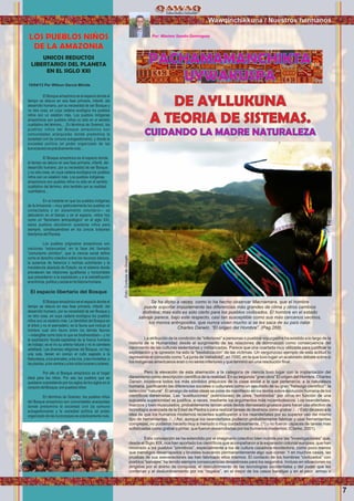 7
Yachayninchikkuna / Nuestros Saberes
Por: Máximo Sandin Dominguez
DE AYLLUKUNA
A TEORIA DE SISTEMAS.
CUIDANDO LA MADRE NATURALEZA
PACHAMAMANCHIKTA
UYWAKUSPA
Se ha dicho a veces, como lo ha hecho observar Macnamara, que el hombre
puede soportar impunemente las diferencias más grandes de clima y otros cambios
distintos; mas esto es sólo cierto para los pueblos civilizados. El hombre en el estado
salvaje parece, bajo este respecto, casi tan susceptible como sus más cercanos vecinos,
los monos antropoides, que nunca viven mucho si se les saca de su país natal.
Charles Darwin. “El origen del Hombre”. (Pag.268).
La atribución de la condición de “inferiores” a personas o pueblos sojuzgados ha existido a lo largo de la
historia de la Humanidad desde el surgimiento de las relaciones de dominación como consecuencia del
nacimiento de las culturas sedentarias y militarizadas. Parece que una coartada muy utilizada para justiﬁcar la
explotación y la opresión ha sido la “bestialización” de las víctimas. Un vergonzoso ejemplo de esta actitud lo
representa el conocido como “La junta de Valladolid”, en 1550, en la que tuvo lugar un acalorado debate sobre si
los indígenas americanos eran o no seres inferiores y que terminó sin una resolución ﬁnal.
Pero la elevación de esta aberración a la categoría de ciencia tuvo lugar con la implantación del
darwinismo como descripción cientíﬁca de la realidad. En su segunda “gran obra” El origen del Hombre, Charles
Darwin incorpora todos los más sórdidos prejuicios de la clase social a la que pertenecía; a la naturaleza
humana, justiﬁcando las diferencias sociales o culturales como un resultado de su gran “hallazgo cientíﬁco”: la
selección “natural”. El arraigo de estas ideas se pone de maniﬁesto en los textos sobre evolución humana de los
cientíﬁcos darwinistas. Las “sustituciones” (extinciones) de unos “homínidos” por otros en función de una
supuesta superioridad se justiﬁca, a veces, mediante los argumentos más rocambolescos: Los neandertales,
macizos y bien musculados, probablemente tenían unos dedos demasiado gruesos para hacer uso efectivo de
tecnología avanzada de la Edad de Piedra o para realizar tareas de destreza como grabar. /.../ Esto da peso a la
idea de que los humanos modernos recientes sustituyeron a los neandertales por su superior uso del mismo
tipo de herramientas. /.../ Así, aunque los neandertales pudieron probablemente fabricar y usar herramientas
complejas, no pudieron hacerlo muy a menudo o muy cuidadosamente, (?) y no fueron capaces de tareas mas
soﬁsticadas como grabar o pintar, que fueron desarrolladas por los humanos modernos. (Clarke, 2001).
Esta concepción se ha extendido por el imaginario colectivo bien nutrida por las “investigaciones” que,
desde el Siglo XIX, nos han aportado los cientíﬁcos que acompañaron a la expansión colonial europea, que han
mostrado a los pueblos “primitivos”, especialmente a los de cultura cazadora-recolectora, como poco menos
que mendigos desarrapados y brutales buscando permanentemente algo que comer. Y en muchos casos, las
pruebas de sus aseveraciones las han fabricado ellos mismos. El contacto de los hombres “civilizados” con
pueblos “salvajes” ha tenido siempre consecuencias desastrosas para los segundos. Incluso en situaciones no
dirigidas por el ánimo de conquista, el descubrimiento de las tecnologías occidentales y del poder que les
conferían y el deslumbramiento por los “regalos”, en el mejor de los casos baratijas y en el peor, armas o
El Bosque amazónico es el espacio donde el
tiempo se detuvo en esa fase primaria, infantil, del
desarrollo humano, por su necesidad de ser Bosque y
no otra cosa, en cuya cadena ecológica los pueblos
niños son un eslabón más. Los pueblos indígenas
amazónicos son pueblos niños no sólo en el sentido
cualitativo del término,... En términos de Gramsci, los
pueblos niños del Bosque amazónico son
comunidades anarquistas donde predomina la
sociedad civil (la comuna autogestionaria); y donde la
sociedad política (el poder organizado de las
burocracias)esprácticamentenula…
El Bosque amazónico es el espacio donde
el tiempo se detuvo en esa fase primaria, infantil, del
desarrollo humano, por su necesidad de ser Bosque
y no otra cosa, en cuya cadena ecológica los pueblos
niños son un eslabón más. Los pueblos indígenas
amazónicos son pueblos niños no sólo en el sentido
cualitativo del término, sino también por su realidad
cuantitativa…
En el instante en que los pueblos indígenas
de la Amazonia —muy particularmente los pueblos no
contactados o en aislamiento voluntario— se
detuvieron en el tiempo y en el espacio, vistos hoy
como un “fenómeno antropológico” en el siglo XXI,
estos pueblos decidieron quedarse niños para
siempre, constituyéndose en los únicos bolsones
libertariosdelPlaneta.
Los pueblos originarios amazónicos son
naciones “estancadas” en la fase del llamado
“comunismo primitivo”, que la ciencia social deﬁne
como el derecho colectivo sobre los recursos básicos,
la ausencia de herencia o normas autoritarias y la
inexistencia absoluta de Estado; es el sistema donde
prevalecen las relaciones igualitarias y horizontales
que precedieron a la explotación y a la estratiﬁcación
económica,políticaysocialenlahistoriahumana.
El espacio libertario del Bosque
El Bosque amazónico es el espacio donde el
tiempo se detuvo en esa fase primaria, infantil, del
desarrollo humano, por su necesidad de ser Bosque y
no otra cosa, en cuya cadena ecológica los pueblos
niños son un eslabón más. La identidad del Bosque es
el árbol y no el aserradero; es la fauna que incluye al
hombre cual otro fauno entre los demás faunos
—intangible como todo lo que es biodiversidad— y no
la explotación feudal-capitalista de la fuerza humana
de trabajo; es el río su arteria natural y no la carretera
asfaltada. Las diversas religiones del Bosque, no hay
una sola, tienen en común el culto sagrado a la
Naturaleza,alosanimales,alosríos,alasmontañas,a
lasplantas,alosvientosyaloscicloslunaresysolares.
Por ello el Bosque amazónico es el hogar
ideal para los niños. Por eso los pueblos que se
quedaron subsistiendo por los siglos de los siglos en el
corazóndelBosque,sonpueblosniños.
En términos de Gramsci, los pueblos niños
del Bosque amazónico son comunidades anarquistas
donde predomina la sociedad civil (la comuna
autogestionaria) y la sociedad política (el poder
organizado de las burocracias) es prácticamente nula.
LOS PUEBLOS NIÑOS
DE LA AMAZONIA
UNICOS REDUCTOS
LIBERTARIOS DEL PLANETA
EN EL SIGLO XXI
15/04/13 Por Wilson García Mérida
Wawqinchikkuna / Nuestros hermanos
Foto:CortesiadeGoogle
Foto:CortesiadeGoogle
 