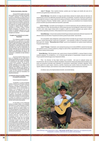 Juan F. Tincopa.- Para nuestros lectores, quisiera que nos hagas una reseña del curso de tu
caminar como guitarrista en todos estos años.
Dante Montoya.- Mi caminar a lo largo de este tiempo siempre ha estado plena de todo tipo de
experiencias ya sea en los diferentes escenarios del Perú y el extranjero. He tenido a través de mi guitarra la
oportunidad de conocer la mayor parte de los países de América, parte de Europa y Asia llevando nuestra
música Puquiana y Peruana. También dedico parte de mi tiempo a la enseñanza de la Guitarra Andina
porque considero que siempre debemos transmitir lo aprendido.
Juan F. Tincopa.- Considero que has llegado a un nivel de maduración más que suﬁciente para que tu
música hable en voz alta. Has alcanzado por merito propio ese justo nivel de Maestro y tienes todo mi respeto
y cariño como estoy seguro tienes todo el respeto y cariño de nuestros paisanos que quieren verte y
escucharte en grandes escenarios. Estas preparando nuevos proyectos musicales?
Dante Montoya.- Como te decía anteriormente Puquio siempre será fuente inﬁnita de inspiración. Mi
abrazo a todos mis hermanos Puquianos en la tierra y para los que residen fuera de ella.
En la actualidad estoy trabajando varias producciones musicales las que incluyen música del ande
peruano, música internacional, música de mi inspiración, y por supuesto un álbum en homenaje a nuestra
tierra que lo he titulado “Recuerdos de mi Tierra” que es una recopilación de nuestra música tradicional
Puquiana-Ayacuchana.
Juan F. Tincopa.- Finalmente, como siempre buscamos en la revista QAWAQ, cuál sería el mensaje
que quisieras enviar a nuestros paisanos y amigos en todo el Perú, especialmente a esos jóvenes ansiosos
de cultivar nuestra música andina.
Dante Montoya.- Muchas gracias Juan, quiero enviar a través de QAWAQ un abrazo fraterno a todos
nuestros paisanos. En la distancia y en mi memoria está siempre el imperecedero recuerdo de nuestro
Puquio querido fuente de agua viva e inspiración inﬁnita.
Para los Jóvenes, no hay mejor camino que el estudio, creo que en cualquier campo que
incursionemos ello nos conduce a mejores resultados.Alos jóvenes músicos les deseo todos los éxitos y que
todos sus proyectos musicales sean realizados con sentimiento, autenticidad, humildad y dignidad. Todos
somos parte de un gran equipo, músicos y oyentes, hacemos que nuestra música se encuentre día a día
vigente. Debemos trabajar para mantener vivas nuestra identidad y nuestras expresiones culturales.
Un abrazo Juan y mis mejores deseos de éxito a la revista Qawaq.
36
Semillas decomisadas y destruidas
AunqueelICAharepetidovariasveces
que no suelen destruir las semillas decomisadas
ni tirarlas a basureros, la última edición de
Noticias Uno (El ICAdestruyó semillas en todo el
país) demostró que el caso de Campo Alegre no
es la única vez en la historia del ICA que se
ordena la destrucción de semillas, y además hizo
público el caso de una orden de destrucción de
las semillas de una variedad criolla de algodón,
incluyendo el material parental, obligando a
agricultores en Córdoba y Tolima a sembrar
algodón transgénico de Monsanto que no
produjo los resultados esperados por lo que
muchos se quebraron: “El fracaso del algodón
transgénicoenColombia”.
El objetivo de la resolución es el control
ﬁtosanitario
En su defensa el instituto ha advertido
que el espíritu de la resolución es el control
ﬁtosanitario para garantizar que los agricultores
tengan semillas de excelente calidad. Pero el
Documental 9.70 y ahora Noticias Uno (Semillas
certiﬁcadas por el ICA salen contaminadas) han
denunciado varios casos de contaminación de
semillas certiﬁcadas que han generado grandes
pérdidas a los agricultores, esta vez sin que
existan herramientas legales que obliguen a los
productores o vendedores de estas semillas a
responder.
Una de las mayores críticas que se la
hace a la Resolución es que utiliza todo el
aparatolegaldelEstadoparareprimirycastigara
los ciudadanos que usen, regalen, intercambien
o comercialicen cualquier tipo de semilla,
mientras a los productores y vendedores de
semillas certiﬁcadas no se los obliga a asumir
ninguna responsabilidad. El resultado es una
Resolución 970 ineﬁciente para garantizar el
control ﬁtosanitario de las semillas del país, esto
a pesar de tener procesos de certiﬁcación
costosos que por demás son inaccesibles a los
pequeñosproductores.
La resolución excluye las semillas criollas y
a los pequeños productores
Esteeselargumentomáspolémico:
Los artículos 1 y 2, que no se planean
modiﬁcar, advierten que la 970 aplica a todos los
géneros y especies vegetales cultivables
modiﬁcados por métodos convencionales y no
convencionales, los no convencionales se
reﬁeren a los transgénicos, pero en las
modiﬁcaciones por métodos convencionales
caben todas las semillas cultivables incluyendo
las criollas. De no ser por los métodos de
modiﬁcación convencionales la humanidad no
habría podido domesticar las plantas silvestres;
el banano por ejemplo es el producto de
selecciones que disminuyeron el tamaño de sus
semillashastahacerlasimperceptibles.
El ICA insiste en que la Resolución
excluye las semillas criollas y a los pequeños
agricultorescon5omenoshectáreasylojustiﬁca
con una propuesta de actualización a la
resolución; esta es una verdad a medias. Si el
ICAfuera transparente, en las declaraciones a la
prensa habría dicho con claridad cuál es la única
adición que planean hacerle a la Resolución 970:
“Se excluye del ámbito de aplicación de la
presente resolución, aquellas semillas de
variedades locales, cuyo ﬁn no sea la
comercialización“, es decir que no se excluyen
todas las semillas criollas sino solo aquellas
“variedades locales” que no se vayan a
comercializar, regalar o intercambiar. Pero ¿Qué
esunavariedadlocalycómogarantizaelICAque
en este grupo se incluyan todas las plantas que
tradicionalmente cultivan los campesinos? y por
otro lado ¿Por qué insisten en convertir en delito
que los campesinos obtengan beneﬁcios
económicos de la venta de sus cultivos y de las
semillasquelespertenecen?
Rimanakuuyninchik / Nuestras Conversaciones
Dante Montoya viene preparando el albun “Recuerdos de Mi Tierra” Esperamos con impaciencia poder
incorporarlo a nuestras colecciones de recuedos mas preciados.
 