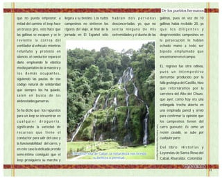 que no pueda empeorar, a
mitad del camino el Jeep hace
un brusco giro, esto hace que
las gallinas se escapen y se le
reviente la correa del
ventilador al vehículo; mientras
refunfuño y protesto en
silencio, el conductor repara el
daño empleando la elástica
media pantalón de la maestra y
l o s d e m á s o c u p a n t e s ,
siguiendo las pautas de ese
código natural de solidaridad
que siempre los ha guiado,
salen en busca de las
alebrestadas gumarras.
Se ha dicho que los repuestos
para un Jeep se encuentran en
c u a l q u i e r d r o g u e r í a ,
significando la variedad de
recursos que tiene el
conductor para salir del caso y
la funcionabilidad del carro, y
en este caso la delicada prenda
semi-íntima consiguió que el
Jeep prosiguiera su marcha y
llegara a su destino. Los rudos
campesinos no sintieron los
rigores del viaje, al final de la
jornada en El Español sólo
h a b í a n d o s p e r s o n a s
desconcertadas: yo, que no
sentía ninguna de mis
extremidades y el dueño de las
gallinas, pues en vez de 10
gallinas había recibido 20, ya
q u e l o s d i l i g e n t e s y
desprevenidos campesinos en
la persecución le habían
echado mano a todo ser
bípedo emplumado que
encontraron en el campo.
EL regreso fue otra odisea,
p u e s u n i n t e m p e s t i v o
derrumbe producido por la
falla geológica del Castillo, hizo
que retornáramos por la
carretera del Alto del Chuzo,
que ayer, como hoy era una
enfangada trocha abierta en
una empinada pared y sirvió
para confirmar la opinión que
los campesinos tienen del
carro guevudo; Es como un
recién casado, se sube por
cualquier parte.
Del libro: Historias y
Leyendas de Santa Rosa del
Cabal, Risaralda, Colombia
En Santa rosa de Cabal, la naturaleza nos brinda
su belleza a plenitud.
En Santa rosa de Cabal, la naturaleza nos brinda
su belleza a plenitud.
Foto:AndrésFelipeHernándezAguirre
De los pueblos hermanos:
 