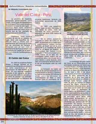 20
La provincia de Caylloma,
designada genéricamente como
“Colca”, forma parte del departamento
deArequipa en Perú y está ubicada en
el extremo nor-este de esta región. La
provincia tiene como escenario
principal el cañón del Colca y es en su
entorno que se han asentado las
poblaciones que la identifican.
.
Caylloma, cuyo nombre
proviene de uno de los pueblos del
lugar, tiene una superficie de 11
990,24 km2 y limita con el
departamento del Cuzco por el norte,
con las provincias de Camaná y
Arequipa por el sur, con el
departamento de Puno por el este, con
la provincia de Castilla por el oeste y
con la provincia de Condesuyos por el
noroeste.
El Cañón del Colca
En 1920 los aviadores Robert
Shipee y George Johnson en su
expedición aerofotografía encontraron
un valle interandino al que
denominaron “El Valle Perdido de los
Incas”. En una segunda expedición
realizada al año siguiente, se dieron
cuenta que este valle esta surcado por
un cañón de paredes muy verticales,
en esa oportunidad se realizaron las
Ayllunchikkuna / Nuestras comunidades
primeras mediciones, teniendo una
profundidad aproximada de 3000
metros.
En 1981, una expedición
polaca, luego de estar internados 33
días dentro de cañón, midió con
aparatos de poca precisión y
estimaron que tenía 3250 metros de
profundidad.
En la última expedición
realizada al cañón del Colca en el
2005, encabezada por el matemático
y expedicionario polaco Andrew
Pietowski se reveló que en la zona
adyacente a la localidad de Quillo
Orco, en el distrito de Huambo, la
profundidad del Cañón Colca
alcanzaba 4,160 m. en el lado norte y
3.600 metros en el lado sur. El
investigador polaco explicó que las
mediciones varían con el paso de los
años debido a varios factores, entre
ellos, el hundimiento del lecho del río y
el uso de tecnologías cada vez más
precisas.
La formación de Cañón del
Colca se dio aproximadamente en las
etapas tectónicas Andina y Quechua,
es decir en los últimos 150 millones de
a ñ o s , p e r o s u p r o c e s o d e
profundización se debe a varios
factores como el crecimiento de la
De: Wikipedia, la enciclopedia libre
Valle del Colca - PerúValle del Colca - Perú
C o r d i l l e r a d e l o s A n d e s ,
d e s g l a c i a c i o n e s d u r a n t e e l
Cuaternario y principalmente por los
procesos erosivos acelerados
causados por el río Colca. Finalmente,
la formación del primitivo Cañón Colca
d e b e h a b e r s e i n i c i a d o
aproximadamente hace unos 10
millones de años atrás, pero su forma
actual corresponde probablemente al
último millón de años, es decir al
Cuaternario.
La morfología del gran Cañón
del Colca, se vio influenciada por las
actividades volcánicas del Sabancaya
y Hualca Hualca, ocurridas dentro del
último millón de años, cuyos depósitos
formaron un dique natural de más de 5
Km. de base y 500 m de altura,
entrampando al río Colca por cientos a
miles de años, generando así la
formación de un gran lago, que se
habría extendido desde el poblado de
Madrigal hasta Yanque. Luego de
miles de años se produjo la ruptura
abrupta del dique originando la
profundización actual del cañón, es en
esta etapa que el cañón del Colca se
presenta como un desfiladero de
varios metros de profundidad y poco
ancho, que localmente se angosta en
los parajes Incasaltana y Puente Inca;
se profundiza aguas abajo, para
transformarse abruptamente en un
cañón de grandes proporciones con
pendientes que bordean los 60° de
inclinación, es común encontrar
acantilados verticales de cientos de
metros de desnivel con una perfecta
d i s y u n c i ó n v e r t i c a l ( O a s i s -
Cabanaconde). La margen derecha
tiene una pendiente fuerte y continua
desde la cima del nevado Bomboya
hasta el fondo del cañón.La formación de Cañón del Colca se dio aproximadamente en las etapas tectónicas
Andina y Quechua, es decir en los últimos 150 millones de años
Foto:cortesíadeGoogle
Chivay, una de las poblaciones
asentadas en el valle del Colca
Foto:JuanFranciscoTincopaCalle
 