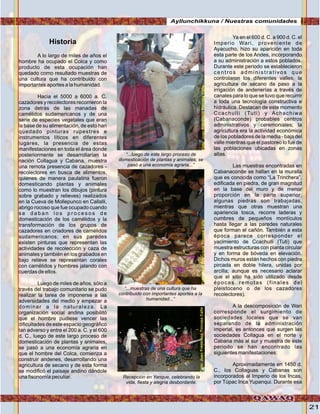 21
Historia
A lo largo de miles de años el
hombre ha ocupado el Colca y como
producto de esta ocupación han
quedado como resultado muestras de
una cultura que ha contribuido con
importantes aportes a la humanidad.
Hacia el 5000 a 6000 a. C.
cazadores y recolectores recorrieron la
zona detrás de las manadas de
camélidos sudamericanos y de una
serie de especies vegetales que eran
la base de su alimentación, de esto han
quedado pinturas rupestres e
instrumentos líticos en diferentes
lugares, la presencia de estas
manifestaciones en toda el área donde
posteriormente se desarrollarían la
nación Collagua y Cabana, muestra
una remota presencia de cazadores -
recolectores en busca de alimentos,
quienes de manera paulatina fueron
domesticando plantas y animales
como lo muestran los dibujos (pintura
sobre grabado y relieves) realizados
en la Cueva de Mollepunco en Callalli,
abrigo rocoso que fue ocupado cuando
s e d a b a n l o s p r o c e s o s d e
domesticación de los camélidos y la
transformación de los grupos de
cazadores en criadores de camélidos
sudamericanos; en sus paredes
existen pinturas que representan las
actividades de recolección y caza de
animales y también en los grabados en
bajo relieve se representan corales
con camélidos y hombres jalando con
cuerdas de ellos.
Luego de miles de años, sólo a
través del trabajo comunitario se pudo
realizar la tarea de imponerse a las
adversidades del medio y empezar a
dominar a la naturaleza. La
organización social andina posibilitó
que el hombre pudiese vencer las
dificultades de este espacio geográfico
tan adverso y entre el 200 a. C. y el 600
d. C., luego de este largo proceso de
domesticación de plantas y animales,
se pasó a una economía agraria en
que el hombre del Colca, comienza a
construir andenes, desarrollando una
agricultura de secano y de esta forma
se modificó el paisaje andino dándole
una fisonomía peculiar.
Ya en el 600 d. C. a 900 d. C. el
Imperio Wari, proveniente de
Ayacucho, hizo su aparición en toda
esta parte de los Andes, incorporando
a su administración a estos poblados.
Durante este periodo se establecieron
centros administrativos que
controlaron los diferentes valles, la
agricultura de secano da paso a la
irrigación de andenerías a través de
canales para lo que se tuvo que recurrir
a toda una tecnología constructiva e
hidráulica. Destacan de este momento
Ccachulli (Tuti) y Achachiwa
(Cabanaconde) probables centros
administrativos y ceremoniales; la
agricultura era la actividad económica
de los pobladores de la media - baja del
valle mientras que el pastoreo lo fue de
las poblaciones ubicadas en zonas
altas.
Las muestras encontradas en
Cabanaconde se hallan en la muralla
que es conocida como “La Trinchera”,
edificada en piedra, de gran magnitud
en la base del muro y de menor
proporción en la parte superior;
algunas piedras son trabajadas,
mientras que otras muestran una
apariencia tosca, recorre laderas y
cumbres de pequeños montículos
hasta llegar a las paredes naturales
que forman el cañón. También a esta
época parece corresponder el
yacimiento de Ccachulli (Tuti) que
muestra estructuras con planta circular
y en forma de bóveda en elevación.
Dichos muros están hechos con piedra
pircada en doble hilera, unidas por
arcilla; aunque es necesario aclarar
que el sitio ha sido utilizado desde
épocas remotas (finales del
pleistoceno o de los cazadores
recolectores).
A la descomposición de Wari
corresponde el surgimiento de
sociedades locales que se van
separando de la administración
imperial, es entonces que surgen las
sociedades Collagua en el norte y
Cabana más al sur y muestra de este
periodo se han encontrado las
siguientes manifestaciones:
Aproximadamente en 1450 d.
C., los Collaguas y Cabanas son
incorporados al Imperio de los Incas,
por Túpac Inca Yupanqui. Durante esa
“...muestras de una cultura que ha
contribuido con importantes aportes a la
humanidad...”
“...luego de este largo proceso de
domesticación de plantas y animales, se
pasó a una economía agraria...”
Recepción en Yanque, celebrando la
vida, fiesta y alegría desbordante.
Foto:JuanFranciscoTincopaCalleFoto:JuanFranciscoTincopaCalleFoto:JuanFranciscoTincopaCalle
Ayllunchikkuna / Nuestras comunidades
 