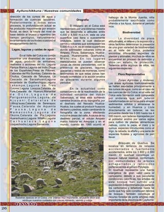26
dirección de los cursos de agua y
formación de cuencas lacustres.
Posteriormente a todos estos
procesos, la profundización actual se
ha producido mayormente por erosión
fluvial, es decir, la rotura del nivel de
base debido al brusco y repentino (en
tiempo geológico, naturalmente)
levantamiento de losAndes ocasionó el
encajonamiento del río.
Lagos, lagunas y caídas de agua
En el Valle del Colca es común
encontrar una diversidad de cuerpos
de agua, producto de embalses,
deshielos o acciones del río. Laguna
Pampa Blanca,Laguna del Indio,Dique
de los Españoles,Presa de Pillones,
Cataratas del Río Sumbay, Catarata de
Chullca, Cascada de Tahuaysa, La
Cascada de SacsahuaniLaguna
encantada de Guañanchigua,Laguna
L e k e m p e , L a g u n a d e T r e s
Colores,Laguna Lorocca,Catarata de
Fure,Catarata de Huaruro,Manantial
d e O c t o , L a g u n a d e
P a r i g u a n a c o c h a , L a g u n a d e
A j u y a n i , C a t a r a t a s d e
Llillirop’ausa,Catarata de Serenayoc
P’ausa,Catarata de Aquenta
P ’ a u s a , L a g u n a d e
M a m a c o c h a , L a g u n a d e
Okoire,Catarata de Pis,Laguna
Huarachuarco,Laguna Wilafro,Laguna
C a r h u a l a c a , L a g u n a
Lloquechocho,Laguna Samacota.
Orografia
El Altiplano en el Colca está
representado por una extensa meseta
que se desarrolla a altitudes entre
4,000 y 4,500 m.s.n.m. esta es una
superficie casi llana o suavemente
ondulada, sobre la cual destacan
cerros y volcanes que sobrepasan los
5,000 m.s.n.m. es en estas superficies
donde sobresalen volcanes como el
Ampato, Firura, Sabancaya, Hualca-
Hualca, Huarancante, Quehuisha,
M i s m i e t c . E n l o s l u g a r e s
mencionados se pueden observar
zonas de nieves persistentes, con la
presencia de glaciares, lagunas
glaciarias y restos de morrenas, como
testimonios de que estas zonas han
estado sometidas a la acción erosiva
de glaciares durante algunos
periodos.
En la actualidad como
consecuencia de la reactivación de la
actividad volcánica del Volcán
Sabancaya, el área está sufriendo
cambios bruscos en su topografía, por
el deshielo del Nevado Hualca-
Hualca, los cuales al producir huaycos
de barro y piedras, están cambiando la
fisiografía de la zona, afectando
inclusive áreas del valle.Acausa de su
deshielo parcial, el volcán Ampato
marcó historia en Arequipa y en el
mundo, cuando en 1995 ocurrió el
hallazgo de la Momia Juanita, niña
probablemente sacrificada como
ofrenda a los Apus, durante el periodo
inca.
Biodiversidad
La diversidad de pisos
altitudinales, el relieve y la exposición y
otros factores determinan la presencia
de una gran variedad de biodiversidad
en el Valle del Colca, podemos
encontrar diferentes especies de
plantas y animales, muchos de ellos se
encuentran en proceso de extinción y
otros en estado de protección.
Tenemos entre algunos de ellos, las
siguientes especies:
Flora Representativa
Zonas Agrícolas y Andenes.
Las áreas agrícolas tradicionalmente
se hallan asociadas principalmente a
los cursos de agua, como en el caso de
las cuencas del río Colca; en el valle del
Colca esta formación está compuesta
por andenes que son laderas
transformadas en terrazas para atrapar
sedimentos sólidos y almacenar la
humedad, y en Huanca y Lluta
directamente en laderas; se les
encuentra desde los 3 000 hasta los 4
000 msnm, son laderas manejadas por
el poblador andino por varios siglos
para cultivo de plantas alimenticias
nativas, como la papa, el maíz y la
quinua, especies introducidas como el
trigo, la cebada, la alfalfa y una serie de
especies frutales y agrícolas de pan
llevar.
Bosques de Queñua. Se
localiza en terrenos de relieves
a c c i d e n t a d o s o f u e r t e m e n t e
accidentados, entre los 3 800 y 4 000
msnm. El queñual constituye un
bosque natural residual, conformado
por comunidades de árboles
a c h a p a r r a d o s y r e t o r c i d o s
pertenecientes al género Polylepis.
El Queñual representa una fuente
energética de gran valor para el
campesino; debido a sus peculiares
condiciones caloríficas, los árboles de
este bosque han sufrido una
explotación indiscriminada por parte de
los carboneros y leñadores hasta tal
punto que hoy solo constituyen relictos
de bosque. También constituye el
recurso forestal de porte arbóreo más
importante de la provincia de Caylloma.
Nuestras alpacas en el Colca, una crianza muy importante, se puede decir que
retribuye nuestros cuidados con creces:Alimento, vestido y cobija.
Ayllunchikkuna / Nuestras comunidades
Foto:JuanFranciscoTincopaCalle
 