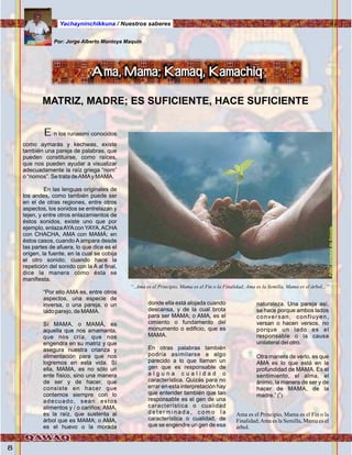 Foto:cortesíadeGoogle
8
En los runasimi conocidos
como aymarás y kechwas, existe
también una pareja de palabras, que
pueden constituirse, como raíces,
que nos pueden ayudar a visualizar
adecuadamente la raíz griega “nom”
o “nomos”. Se trata deAMAy MAMA.
En las lenguas originales de
los andes, como también puede ser
en el de otras regiones, entre otros
aspectos, los sonidos se entrelazan y
tejen, y entre otros enlazamientos de
éstos sonidos, existe uno que por
ejemplo, enlazaAYAcon YAYA,ACHA
con CHACHA, AMA con MAMÁ; en
éstos casos, cuando A ampara desde
las partes de afuera, lo que dice es el
origen, la fuente, en la cual se cobija
el otro sonido; cuando hace la
repetición del sonido con la A al final,
dice la manera como ésta se
manifiesta.
“Por ello AMA es, entre otros
aspectos, una especie de
inversa, o una pareja, o un
lado parejo, de MAMA.
Sí MAMA, o MAMÁ, es
aquella que nos amamanta,
que nos cría, que nos
engendra en su matriz y que
asegura nuestra crianza y
alimentación para que nos
logremos en esta vida. Sí
ella, MAMA, es no sólo un
ente físico, sino una manera
de ser y de hacer, que
consiste en hacer que
contemos siempre con lo
adecuado, sean estos
alimentos y / o cariños; AMA,
es la raíz, que sustenta al
árbol que es MAMA; o AMA,
es el huevo o la morada
Ama, Mama; Kamaq, Kamachiq
MATRIZ, MADRE; ES SUFICIENTE, HACE SUFICIENTE
Por: Jorge Alberto Montoya Maquin
donde ella está alojada cuando
descansa, y de la cual brota
para ser MAMA; o AMA, es el
cimiento o fundamento del
monumento o edificio, que es
MAMA.
En otras palabras también
podría asimilarse a algo
parecido a lo que llaman un
gen que es responsable de
a l g u n a c u a l i d a d o
característica. Quizás para no
errar en esta interpretación hay
que entender también que tan
responsable es el gen de una
característica o cualidad
d e t e r m i n a d a , c o m o l a
característica o cualidad, de
que se engendre un gen de esa
naturaleza. Una pareja así,
se hace porque ambos lados
conversan, confluyen,
versan o hacen versos, no
porque un lado es el
responsable o la causa
unilateral del otro.
Otra manera de verlo, es que
AMA es lo que está en la
profundidad de MAMA. Es el
sentimiento, el alma, el
ánimo, la manera de ser y de
hacer de MAMA, de la
0
madre.” ( )
Ama es el Principio, Mama es el Fin o la
Finalidad;Ama es la Semilla, Mama es el
árbol.
“..Ama es el Principio, Mama es el Fin o la Finalidad; Ama es la Semilla, Mama es el árbol...”
Yachayninchikkuna / Nuestros saberes
 