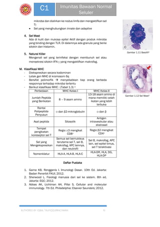 AUTHORED BY: IQBAL TAUFIQQURRACHMAN 10
C1 Imunitas Bawaan Normal
Seluler
mikroba dan dialirkan ke nodus limfa dan mengaktifkan sel
T)
 Sel yang menghubungkan innate dan adaptive
4. Sel Mast
Ada di kulit dan mukosa epitel Aktif dengan produk mikroba
yang binding dengan TLR. Di dalamnya ada granula yang berisi
sitokin dan histamin.
5. Natural Killer
Mengenali sel yang terinfeksi dengan membunuh sel atau
mensekresi sitokin IFN-γ yang mengaktifkan makrofag.
M. Klasifikasi MHC
- Diekspresikan secara kodominan
- Letak gen MHC di kromosom 6q
- Bersifat polimorfik  menyebabkan tiap orang berbeda
responnya terhadap mikroba tertentu
- Berikut klasifikasi MHC : (Tabel 1.3) 1
Perbedaan MHC Kelas I MHC Kelas II
Jumlah Peptida
yang Berikatan
8 – 9 asam amino
13-18 asam amino di
mana memiliki celah
ikatan yang lebih
terbuka
Rantai
Polipeptida
Penyusun
α dan β2-mikroglobulin α dan β
Asal peptida Sitosolik
Antigen
intravesikular atau
ekstrasel
Tempat
pengikatan
koreseptor sel T
Regio α3 mengikat
CD8+
Regio β2 mengikat
CD4+
Sel yang
Mengekspresikan
Semua sel bernukleus
terutama sel T, sel B,
makrofag, APC lainnya,
dan neutrofil
Sel B, makrofag, APC
lain, sel epitel timus,
sel T teraktivasi
Nomenklatur HLA-A, HLA-B, HLA-C
HLA-DR, HLA, DG,
HLA-DP
Daftar Pustaka
1. Garna KB. Rengganis I. Imunologi Dasar. 10th Ed. Jakarta:
Badan Penerbit FKUI; 2012.
2. Sherwood L. Fisiologi manusia dari sel ke sistem. 8th ed.
Jakarta: EGC; 2012.
3. Abbas AK, Lichtman AH, Pillai S. Cellular and molecular
immunology. 7th Ed. Philadelphia: Elsevier Saunders; 2012.
Gambar 1.11 Basofil3
Gambar 1.12 Sel Mast2
 