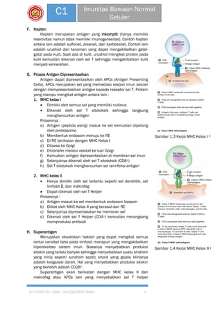AUTHORED BY: IQBAL TAUFIQQURRACHMAN 4
C1 Imunitas Bawaan Normal
Seluler
F. Hapten
Hapten merupakan antigen yang inkomplit (hanya memiliki
reaktivitas namun tidak memiliki imunogenesitas). Contoh hapten
antara lain adalah sulfonat, arsenat, dan karboksilat. Contoh lain
adalah urushiol dari tanaman yang dapat mengakibatkan gatal-
gatal pada kulit. Saat ada di kulit, urushiol mengikat protein pada
kulit kemudian dikenali oleh sel T sehingga mengakibatkan kulit
menjadi kemerahan.
G. Proses Antigen Dipresentasikan
Antigen dapat dipresentasikan oleh APCs (Antigen Presenting
Cells). APCs merupakan sel yang memediasi respon imun seluler
dengan mempresentasikan antigen kepada reseptor sel T. Protein
yang mampu mengikat antigen antara lain :
1. MHC kelas I
 Dimiliki oleh semua sel yang memiliki nukleus
 Dikenali oleh sel T sitotoksik sehingga langsung
menghancurkan antigen
Prosesnya :
a) Antigen (peptida asing) masuk ke sel kemudian dipotong
oleh proteasome
b) Membentuk endosom menuju ke RE
c) Di RE berikatan dengan MHC Kelas I
d) Dibawa ke Golgi
e) Ditransfer melalui vesikel ke luar Golgi
f) Kemudian antigen dipresentasikan di membran sel imun
g) Selanjutnya dikenali oleh sel T sitotoksik (CD8+)
h) Sel T sitotoksik menghancurkan sel terinfeksi antigen
2. MHC kelas II
 Hanya dimiliki oleh sel tertentu seperti sel dendritik, sel
limfosit B, dan makrofag
 Dapat dikenali oleh sel T Helper
Prosesnya :
a) Antigen masuk ke sel membentuk endosom lisosom
b) Diikat oleh MHC Kelas II yang berasal dari RE
c) Selanjutnya dipresentasikan ke membran sel
d) Dikenali oleh sel T Helper (CD4+) kemudian merangsang
memproduksi antibodi
H. Superantigen
Merupakan eksotoksin bakteir yang dapat mengikat semua
rantai variabel beta pada limfosit manapun yang mengakibatkan
hipereksitasi sistem imun. Biasanya menyebabkan produksi
sitokin yang terlalu banyak sehingga menyebabkan suatu sindrom
yang mirip seperti syndrom septic shock yang gejala klinisnya
adalah koagulasi darah. Hal yang menyebabkan produksi sitokin
yang berlebih adalah CD28+.
Superantigen akan berikatan dengan MHC kelas II dari
makrofag atau APCs lain yang menyebabkan sel T helper
Gambar 1.3 Kerja MHC Kelas I 2
Gambar 1.4 Kerja MHC Kelas II 2
 