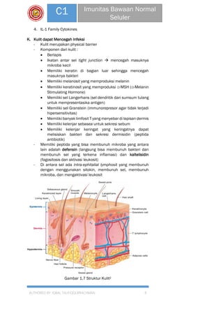 AUTHORED BY: IQBAL TAUFIQQURRACHMAN 8
C1 Imunitas Bawaan Normal
Seluler
4. IL-1 Family Cytokines
K. Kulit dapat Mencegah Infeksi
- Kulit merupakan physical barrier
- Komponen dari kulit :
 Berlapis
 Ikatan antar sel tight junction  mencegah masuknya
mikroba kecil
 Memiliki keratin di bagian luar sehingga mencegah
masuknya bakteri
 Memiliki melanosit yang memproduksi melanin
 Memiliki keratinosit yang memproduksi α-MSH (α-Melanin
Stimulating Hormone)
 Memiliki sel Langerhans (sel dendritik dari sumsum tulang
untuk mempresentasika antigen)
 Memiliki sel Granstein (immunorepresor agar tidak terjadi
hipersensitivitas)
 Memiliki banyak limfosit T yang menyebar di lapisan dermis
 Memiliki kelenjar sebasea untuk sekresi sebum
 Memiliki kelenjar keringat yang keringatnya dapat
melisiskan bakteri dan sekresi dermisidin (peptida
antibiotik)
- Memiliki peptida yang bisa membunuh mikroba yang antara
lain adalah defensin (langsung bisa membunuh bakteri dan
membunuh sel yang terkena inflamasi) dan kaltelisidin
(fagositosis dan aktivasi leukosit)
- Di antara sel ada intra-ephitalial lymphosit yang membunuh
dengan menggunakan sitokin, membunuh sel, membunuh
mikroba, dan mengaktivasi leukosit
Gambar 1.7 Struktur Kulit2
 