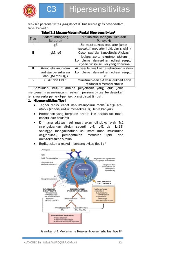 QBD 3 Hipersensitivitas
