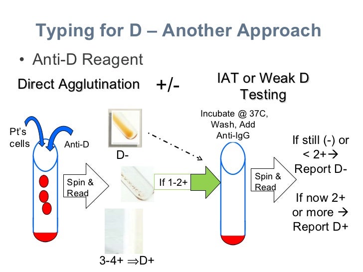 Session 2 - Anti-d Reagents Selection & Qualification