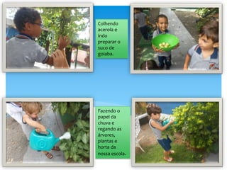 Colhendo
acerola e
indo
preparar o
suco de
goiaba.
Fazendo o
papel da
chuva e
regando as
árvores,
plantas e
horta da
nossa escola.
 