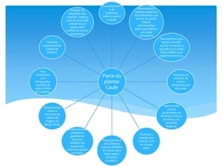 Parte da
planta:
Caule
Levantament
o de
hipóteses
sobre o que é
o caule.
Observamos e
listamos palavras
dos alimentos que
temos na horta.
Depois
conversamos
sobre qual deles é
um caule
comestível.
Descobrimos que
temos cana-de-
açúcar na escola e
que ela é um caule!
Nada melhor que
experimentarmos.
Pesquisa na
internet de
outros
alimentos que
são caule.
Saímos pela
escola
explorando os
diversos troncos
(textura, cor,
tamanho,
largura).
Fizemos a
relação dos
troncos com
os nossos
pais!
Pesquisamos e
descobrimos
outras utilidade
do caule: para
fazer papel,
borracha,
madeira...
Confeccionamos
peneiras e
guardamos
diversos
retalhos de
papel para
fazermos papel
reciclado.
Pesquisamos
sobre a
natureza da
cidade de
origem da
dança Chula.
Nos
divertimos
com
brinquedos
trazidos de
cada e feitos
de madeira.
Culinária
experimental:
pastel de
palmito.
Através de
desenhos das
crianças criamos
uma árvore onde
colaremos as
partes dela
conforme vamos
estudando.
 