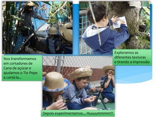 Exploramos as
diferentes texturas
e tirando a impressão
Nos transformamos
em cortadores de
Cana de açúcar e
ajudamos o Tio Pepe
a cortá-la...
Depois experimentamos... Huuuummmm!!!
 