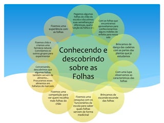Conhecendo e
descobrindo
sobre as
Folhas
Pegamos algumas
folhas do chão da
escola e discutimos
suas semelhanças e
diferenças, qual a
função da folha e etc
Com as folhas que
encontramos
aproveitamos para
confeccionarmos
alguns móbiles de
enfeite para nossa
sala
Brincamos de
dança das cadeiras
com as partes das
plantas que já
estudamos
Com uma lupa
observamos as
características das
folhas
Brincamos de
esconde-esconde
das folhas
Fizemos uma
pesquisa com os
funcionários da
escola para saber
quais folhas
servem de forma
medicinal
Fizemos uma
competição para
ver quem recolhia
mais folhas do
chão
Conversando,
descobrimos que
algumas folhas
também servem de
alimento...
Procuramos esses
alimentos em
folhetos de mercado
Fizemos chás e
criamos uma
farmácia natural.
Convidamos os
outros grupos para
experimentar
Fizemos uma
experiência com
as folhas
 