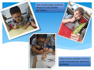 Com nossas lupas pudemos
observar cada detalhe
das folhas...
Observamos também um livro
onde havia diversos desenhos
de folhas
 